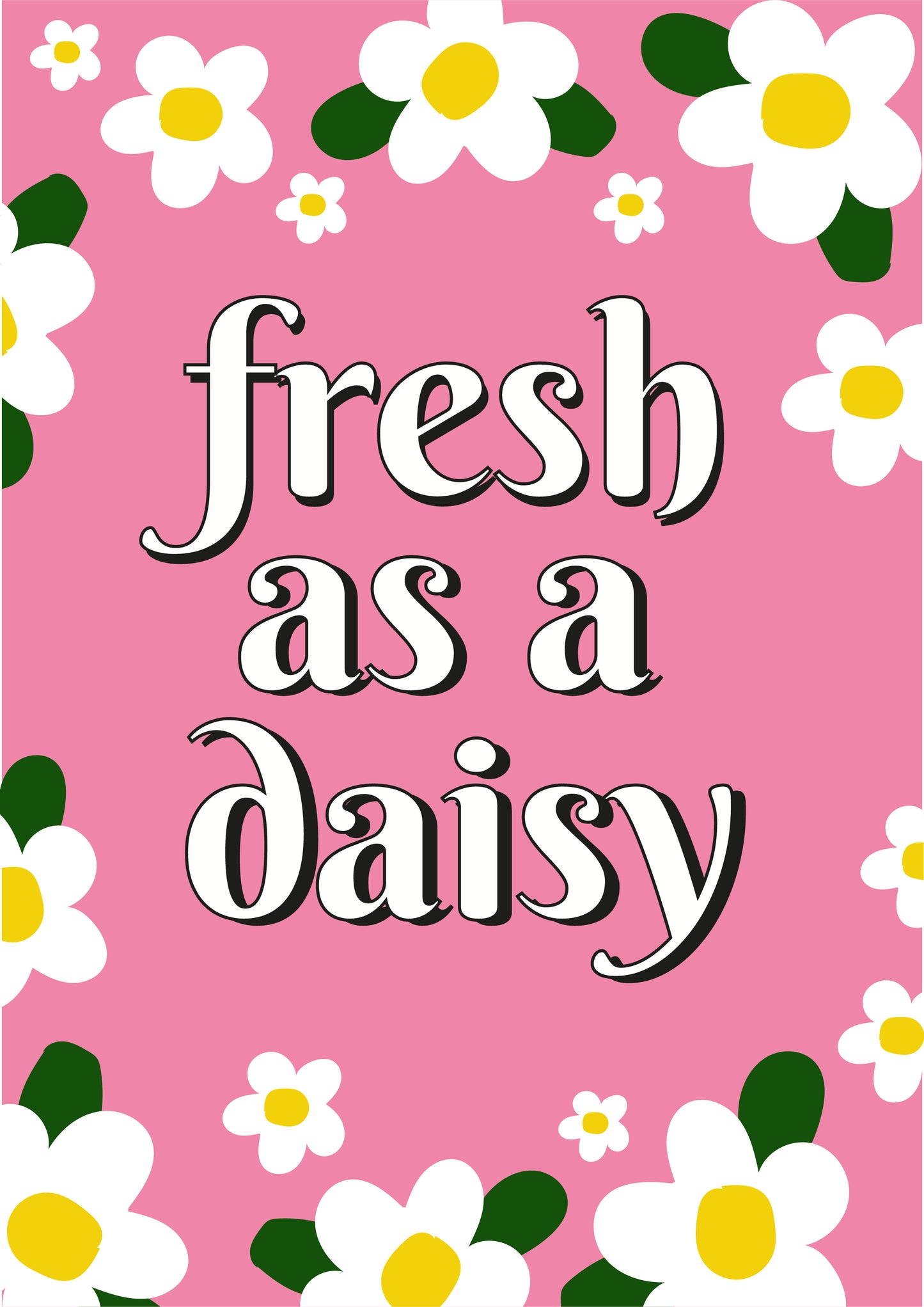 Fresh As A Daisy Spring Flower Typography Print